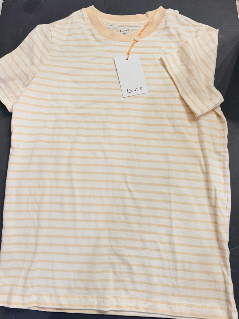 Quince 100% Organic Cotton Jersey Short Sleeve Tee  Oatmeal Stripe